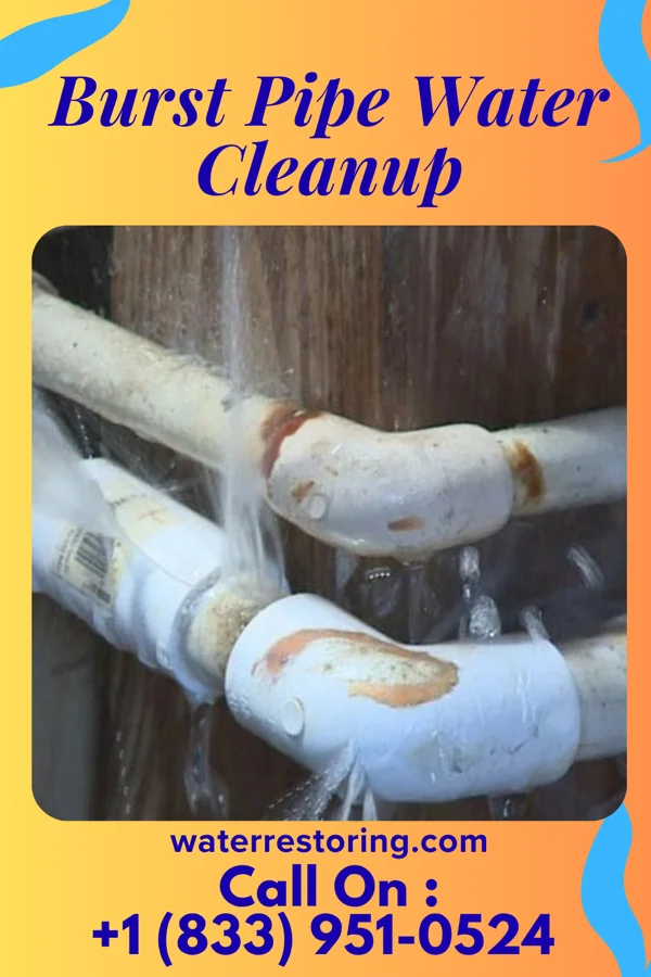 Burst Pipe Water Cleanup in New Wells, MO