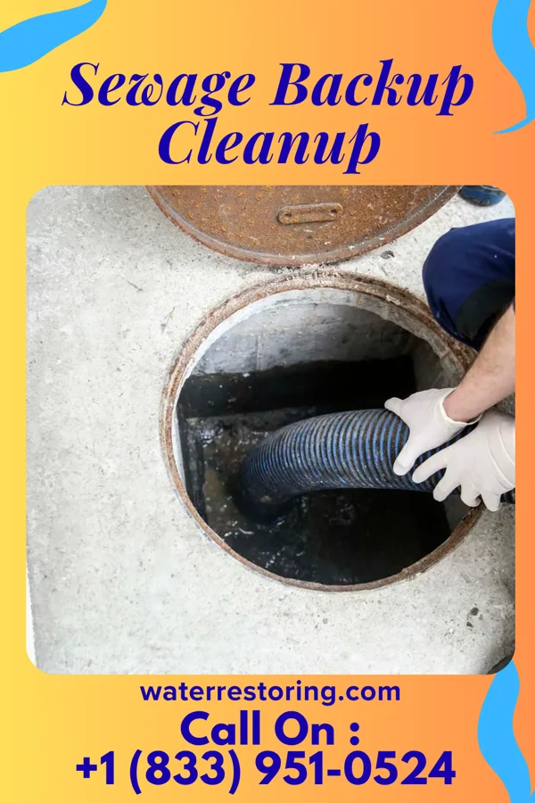 Sewage Backup Cleanup in New Wells, MO