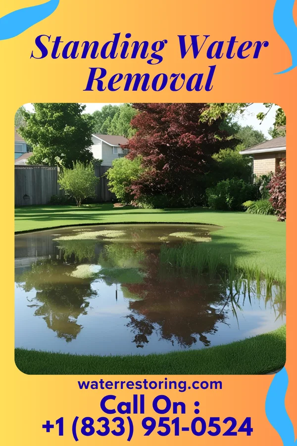 Standing Water Removal in New Wells, MO